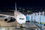 Private Arrival Transfer - Danang Airport to Hotel in Danang 