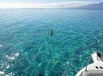 Private Moorea Day Tour