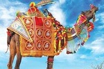 Delhi, Agra, Jaipur Golden Triangle Tour With Pushkar From New Delhi India