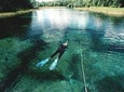 Snorkel Or Dive The Amazing Rainbow River Florida