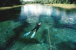 Snorkel Or Dive The Amazing Rainbow River Florida