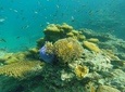 Snorkeling Tour to 4 Islands(Emerald Cave) From Koh Lanta by Speedboat