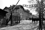 Auschwitz Guided Tour