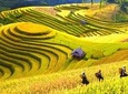 2D1N Sapa Tour from Hanoi by sleeper bus 