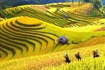 2D1N Sapa Tour from Hanoi by sleeper bus 