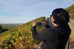 Champagne UNESCO Tour