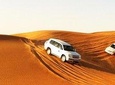 Premium Desert Safari, Barbeque, 3 Shows, Camel ride, Sand-board at Bedouin camp