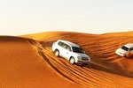 Premium Desert Safari, Barbeque, 3 Shows, Camel ride, Sand-board at Bedouin camp