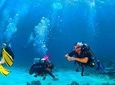 Roatan Reactive-Refresher Dive Course