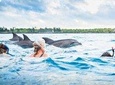 Kizimkazi Dolphin Tour