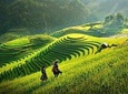 Sapa Tour 3 Days 3 Nights From Hanoi on Deluxe Overnight Train