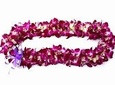 Deluxe Orchid Lei Greeting (Maui, Oʻahu, Kauaʻi)