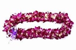 Deluxe Orchid Lei Greeting (Maui, Oʻahu, Kauaʻi)