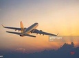 Private Arrival Transfer From Airport to Hotel in Delhi