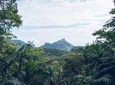 Discover Rio Green Lungs: Tijuca National Park 