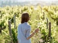 The All About Margaret River Tour: Wine, Coffee, Lunch and Forest