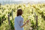 The All About Margaret River Tour: Wine, Coffee, Lunch and Forest