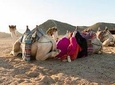  Quad Bike Safari in Hurghada