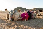  Quad Bike Safari in Hurghada