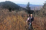 Blue Ridge Mountains Guided Hiking Tour with Local Guide - small groups!!