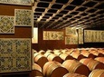 Wine tasting private tour Arrábida