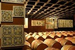 Wine tasting private tour Arrábida