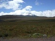 Antisana Volcano Condor Reserve
