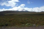 Antisana Volcano Condor Reserve