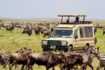 13 Days Discover Kenya and Tanzania Economic Safari 