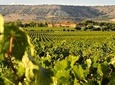 Self Drive Experience in Colchagua Valley, 4 days