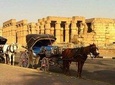 Luxor City Tour By Horse Carriage