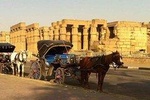 Luxor City Tour By Horse Carriage