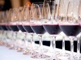 Private Tour Wine (region Évora) Wine Tasting