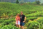 Cameron Highland Sightseeing Tour from Ipoh