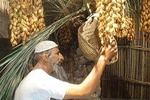 Historical Dubai City Tour