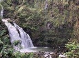 Road to Hana Tour - Best of Maui