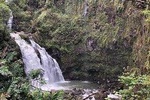 Road to Hana Tour - Best of Maui