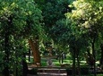 Villa Borghese and Posh Areas Private Photo Tour and Workshop