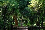 Villa Borghese and Posh Areas Private Photo Tour and Workshop