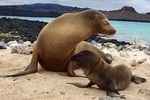 5-Day Galapagos hotels-based tour