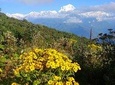 Glimpse of Nepal 