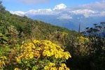 Glimpse of Nepal 