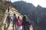 Hike at Mt. Bukhansan National Park with professional Guide(including Lunch)