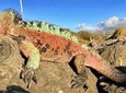 5 Day Galápagos Trip in Santa Cruz Island Land-based