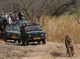 5 Days Golden Triangle Tour with Ranthambore Delhi Agra Jaipur