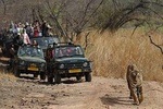 5 Days Golden Triangle Tour with Ranthambore Delhi Agra Jaipur