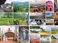Sri Lanka Privet Tour/8 days with driver+vehicle+accommodation H/B basis
