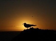 8-day Galapagos hotel-based package 