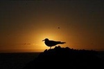 8-day Galapagos hotel-based package 