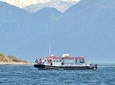 Guaranteed Whale Watching Adventure 